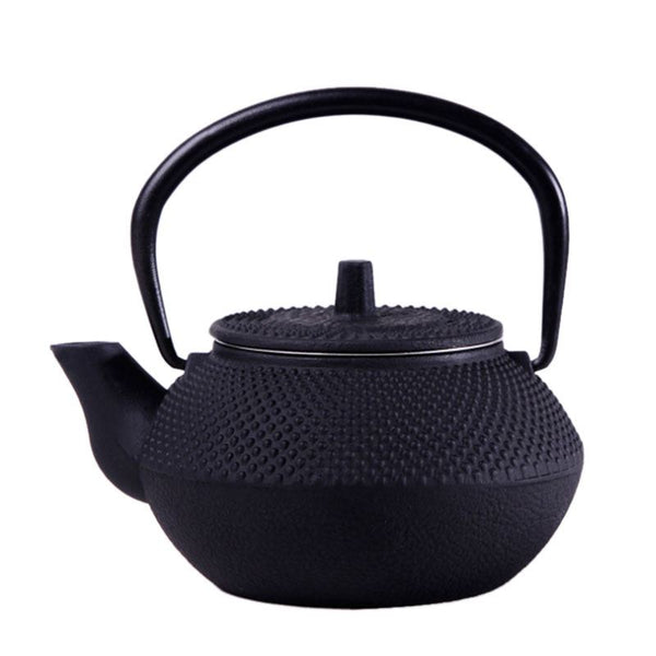 Style Cast Iron Kettle Teapot Comes With Strainer Tea Pot 300ml (Black)
