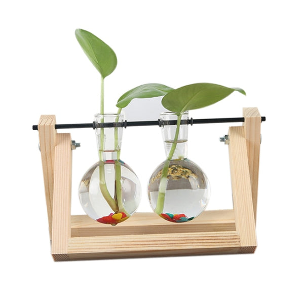 Hydroponic Plant Coffee Shop Tabletop Home Decoration Accessories