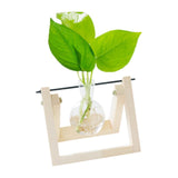 Hydroponic Plant Coffee Shop Tabletop Home Decoration Accessories