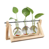 Hydroponic Plant Coffee Shop Tabletop Home Decoration Accessories